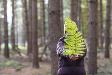 Farnblatt in der Hand einer Frau beim Wandern im Wald - WPEF04186