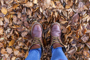 Frau mit Stiefeln steht im Herbstlaub im Wald - WPEF04189