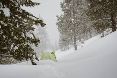 Fußspuren im Tiefschnee führen zu einem kleinen grünen Zelt im Backcountry - CAVF93487