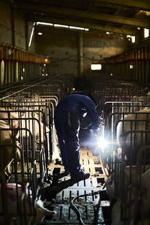 Mann schweißt Schweinestall beim Reparieren - ACPF01160