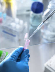 Scientist pipetting DNA sample in vial at laboratory - ABRF00830