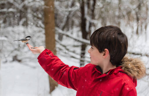 Süßer Junge in rotem Mantel füttert Vogel aus seiner Hand an einem verschneiten Wintertag. - CAVF93557