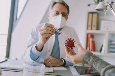 Experte mit Schutzmaske, der einem Patienten im Büro sitzend das Coronavirus an einem künstlichen Modell erklärt - MFF07385