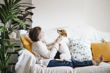 Senior woman playing with Jack Russell Terrier on sofa at home - EBBF02563