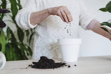 Frau, die Erde in einen Blumentopf am Tisch streut - EBBF02587