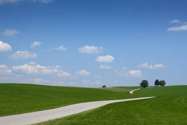 Deutschland, Bayern, Degerndorf, Straße durch ländliche Landschaft - LBF03407