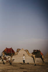 Ägypten, Kairo, Weibliche Touristin zwischen Kamelen stehend mit den Pyramiden von Gizeh im Hintergrund - LHPF01393
