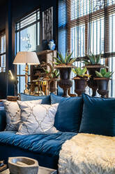 Fragment der Innenraum des Wohnzimmers mit gemütlichen blauen Sofa mit Kissen in der Nähe von Fenster mit grünen Pflanzen in Vintage-Töpfe dekoriert platziert - ADSF21064