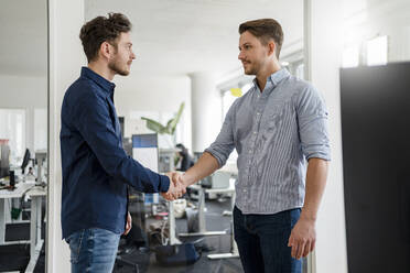 Handsome business people shaking hands in office - DIGF14750