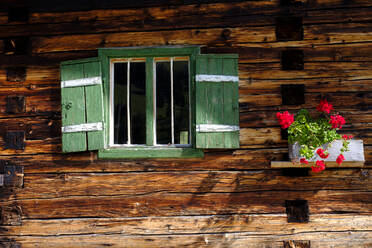 Blumen am grünen Fenster eines Holzhauses - LBF03419