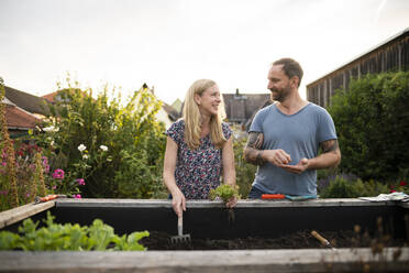 Lächelndes Paar bei der Gartenarbeit, während es im Garten diskutiert - AKLF00094