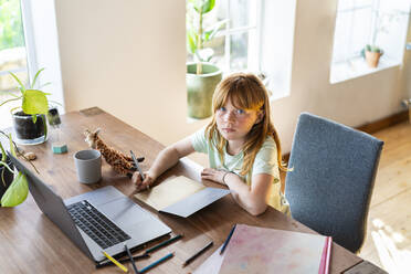 Ernstes rothaariges Mädchen macht Hausaufgaben vor dem Laptop zu Hause - SBOF03025