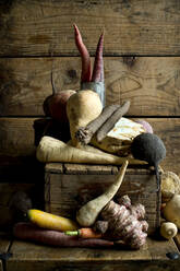 Winter vegetables on rustic wooden background - ASF06731