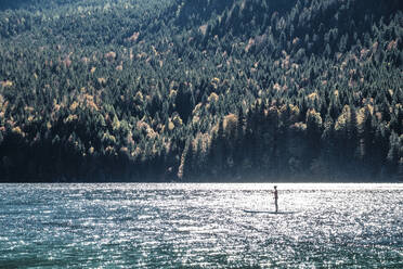 Germany, Bavaria, Garmisch Partenkirchen, Young woman stand up paddling on Lake Eibsee - WFF00485