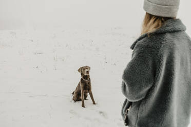 Teenager-Mädchen betrachtet einen im Schnee sitzenden Labrador Retriever - OJF00449