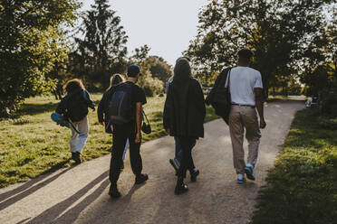 Rear view of friends walking on road in park - MASF22118
