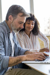 Männlicher Unternehmer mit weiblicher Kollegin bei der Arbeit am Laptop im Büro - AFVF08349