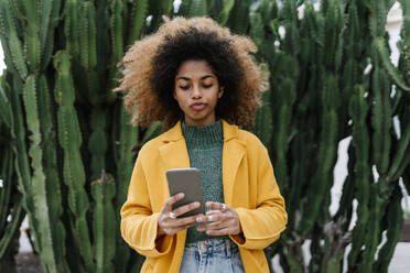 Afro woman making face while using smart phone against cactus plants in background - EGAF01992