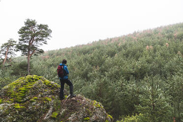 Male hiker admiring surrounding forest from top of large boulder - JAQF00338