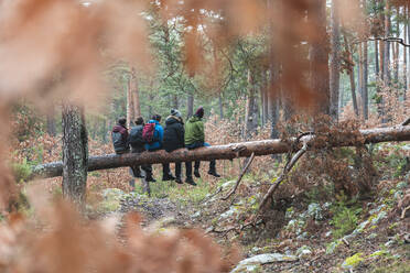 Männliche Wanderer sitzen zusammen auf einem umgestürzten Baum im Herbstwald - JAQF00341