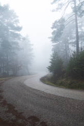 Asphaltstraße im nebligen Herbstwald - JAQF00347