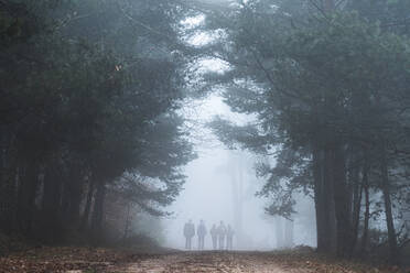 Group of people hiking in foggy autumn forest - JAQF00348