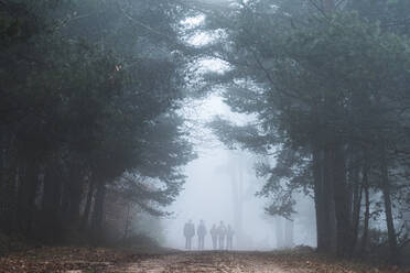 Gruppe von Menschen wandern im nebligen Herbstwald - JAQF00348