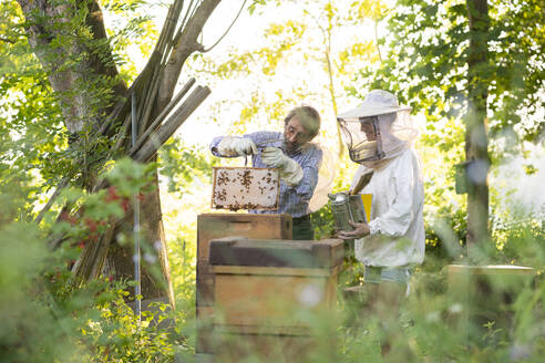 Vater und erwachsene Tochter begutachten Bienenstöcke im Frühling - AKLF00102