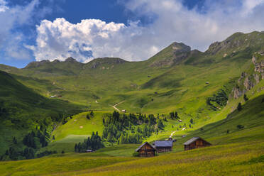 Scenic view of Odle mountain range in summer - LOMF01233