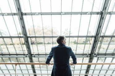 Männlicher Unternehmer, der durch ein Fenster schaut und sich auf ein Geländer im Büroflur stützt - GUSF05311