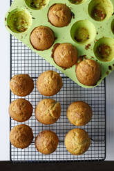 Frisch gebackene Muffins auf dem Kühlregal - IFRF00435