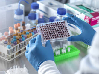 Scientist holding blood samples in multi well plate at laboratory - ABRF00845