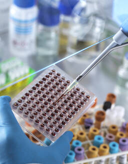Männlicher Wissenschaftler beim Pipettieren einer Blutprobe in eine Mikroplatte im Labor - ABRF00849