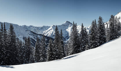 Namloser Wetterspitze von der Steinkarspitze aus gesehen im Winter, Lechtaler Alpen, Tirol, Österreich - WFF00496