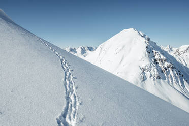 Gämsfährten auf schneebedeckten Bergen gegen den Himmel, Lechtaler Alpen, Tirol, Österreich - WFF00499