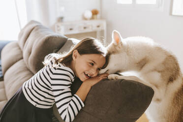 Lächelndes Mädchen, das sich mit einem Siberian Husky zu Hause auf das Sofa lehnt - MIMFF00581