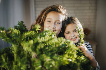 Smiling girls hiding behind Christmas tree at home - MIMFF00592