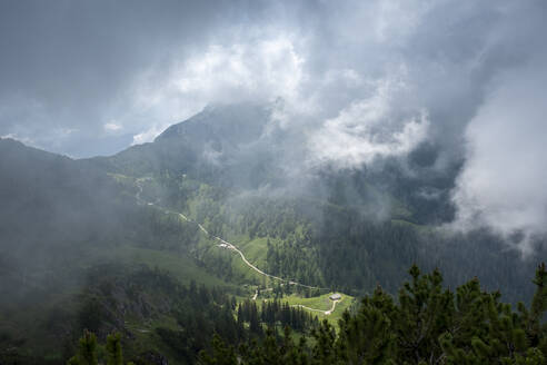 Wolken über einem bewaldeten Tal zwischen Schneibstein und Königsbergalm - LBF03449