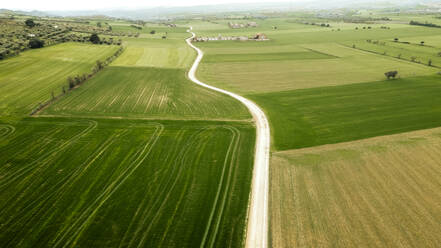 Grünes ländliches Land mit unbefestigter Straße von einer Drohne aus gesehen - ACPF01184