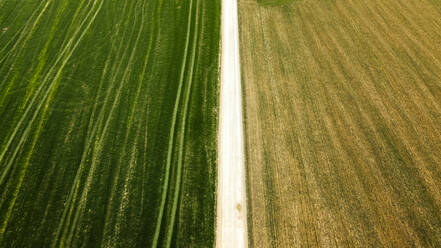 Empty dirt road amidst green agricultural land - ACPF01185