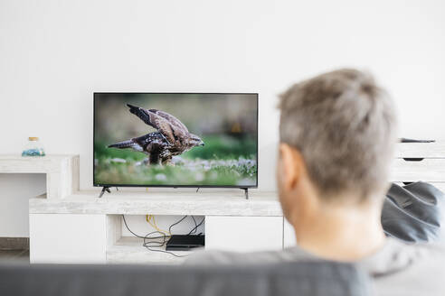 Mature man watching television in living room - JRFF05120