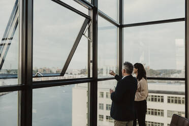 Businessman pointing while female colleague standing by in office - MASF22410