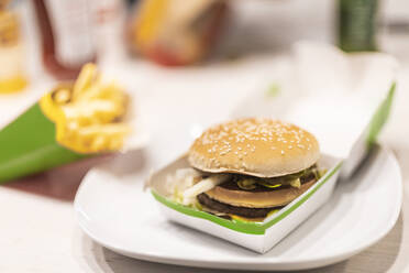 Nahaufnahme eines Fast-Food-Burgers und Pommes frites - CHPF00757