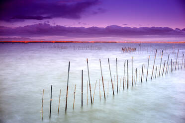 Spanien, Valencia, Albufera, malerischer Sonnenuntergang über dem Meer - DSGF02381