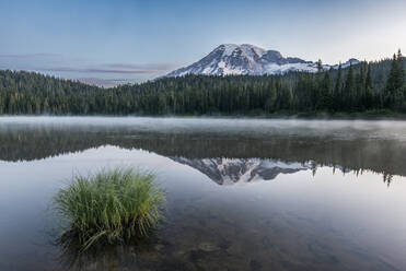 Spiegelung des Mount Rainier im Reflection Lake im Mout Rainier National Park in der Morgendämmerung. - MINF15923