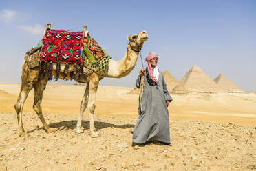 Drei Pyramiden, Gräber der Pharaonen Cheops, Chephren und Menkaure, ein Touristenführer mit einem Kamel - MINF16006
