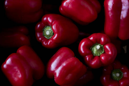 Nahaufnahme von frisch gepflückten roten Paprikaschoten aus hohem Winkel. - MINF16132
