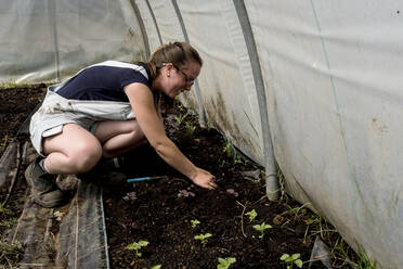 Woman kneeling in a poly tunnel, planting seedlings. - MINF16155