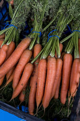 High angle close up of bunch of freshly picked carrots. - MINF16163