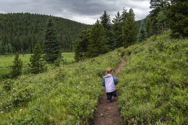 Mädchen beim Wandern auf einem Pfad in den Bergen, Colorado - CAVF93635